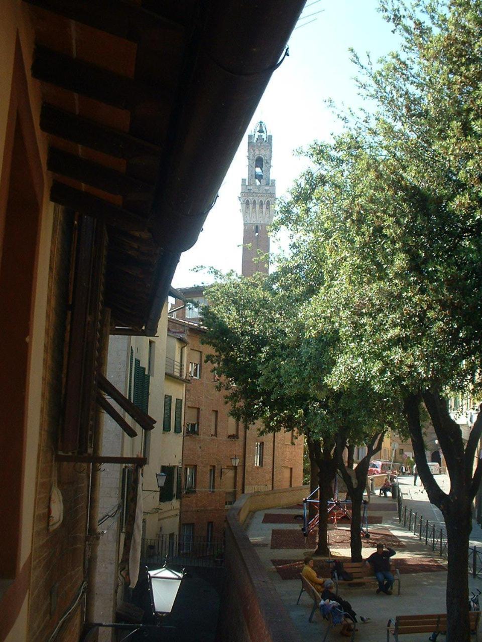Il Campo